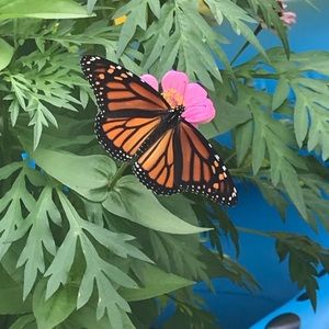 Meet your Posher, Katherine